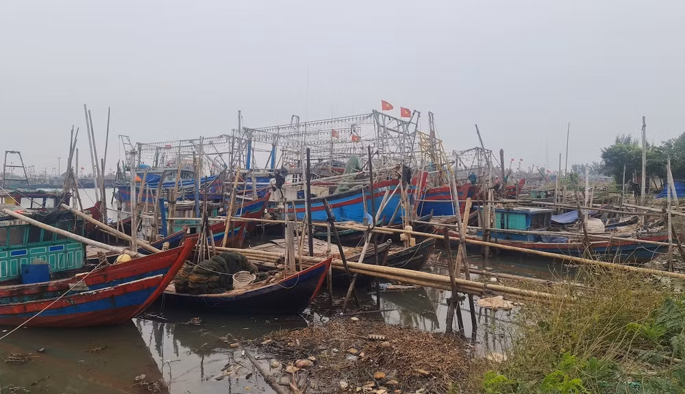 Tàu thuyền vào nơi tránh trú an toàn ven biển huyện Nghĩa Hưng (Nam Định).