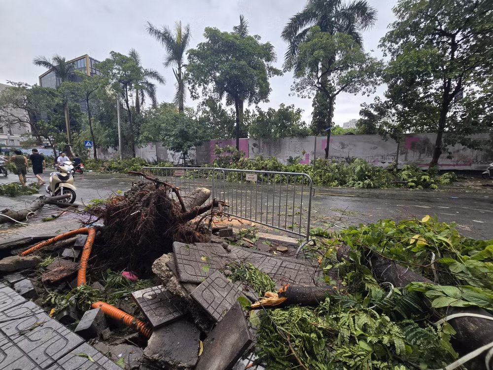 Cây xanh đô thị gãy đổ hàng loạt tại Hà Nội sau bão số 3.