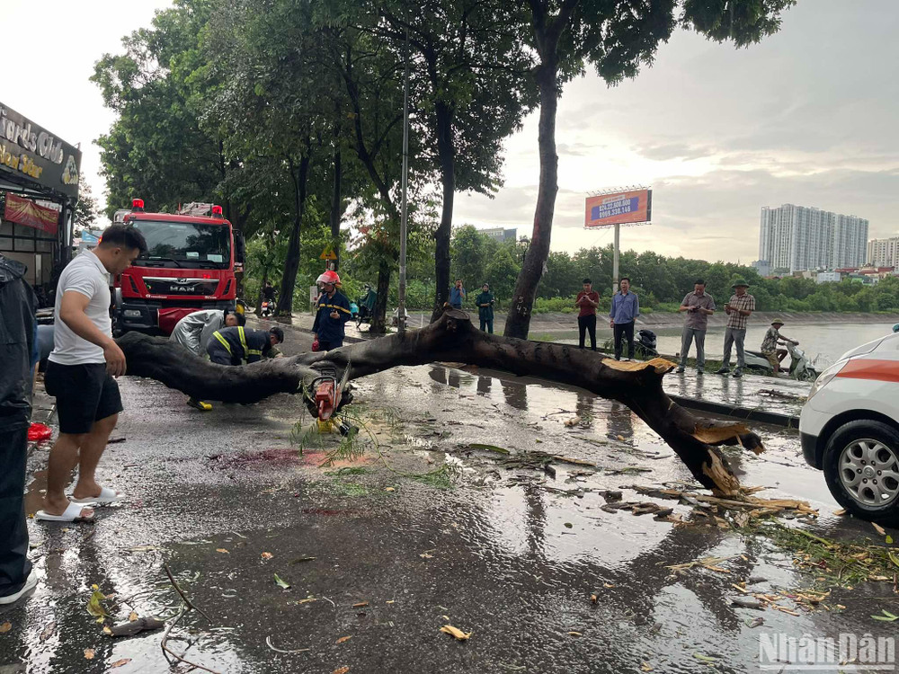 Hiện trường vụ tai nạn thương tâm tại đường Nguyễn Hữu Thọ.