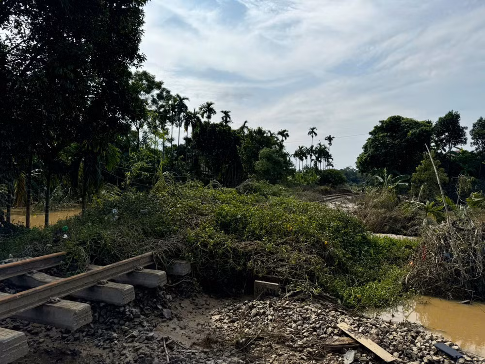 Trên các tuyến đường sắt có nhiều vị trí cây đổ, gây ảnh hưởng tới việc lưu thông tàu.