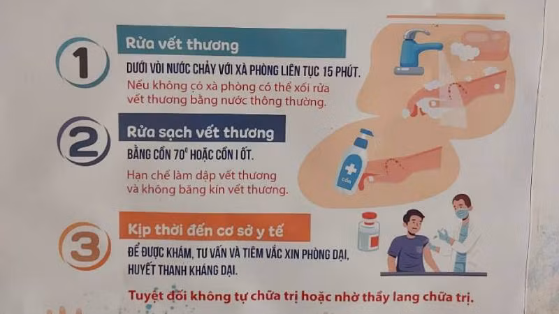 Pano hướng dẫn cách phòng trị khi bị chó mèo cắn, cào.