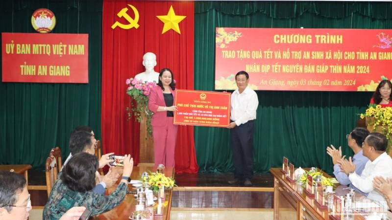 Phó Chủ tịch nước Võ Thị Ánh Xuân tặng quà Tết.