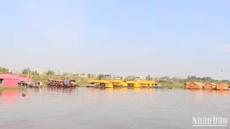 Quang cảnh Làng bè sắc màu trên sông Châu Đốc.