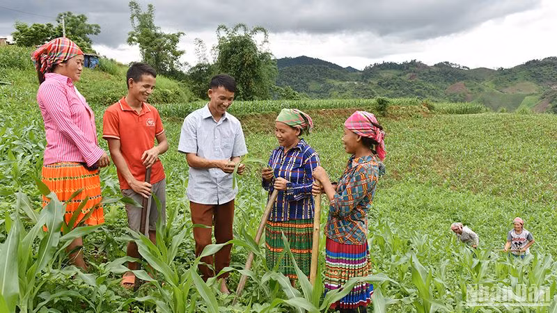Hướng dẫn người dân bản Tà Han, xã Xuân Lạc, huyện Chợ Đồn, Bắc Kạn, trồng ngô năng suất cao. (Ảnh: Trần Hải)
