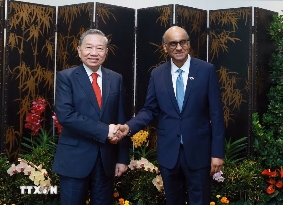 [Ảnh] Tổng Bí thư Tô Lâm hội kiến Tổng thống Singapore Tharman Shanmugaratnam ảnh 1
