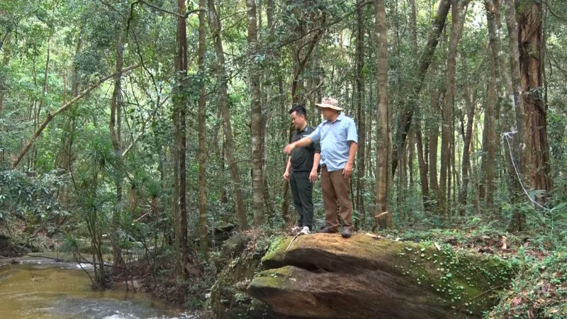 Cán bộ Vườn quốc gia Phú Quốc kiểm tra cánh rừng.