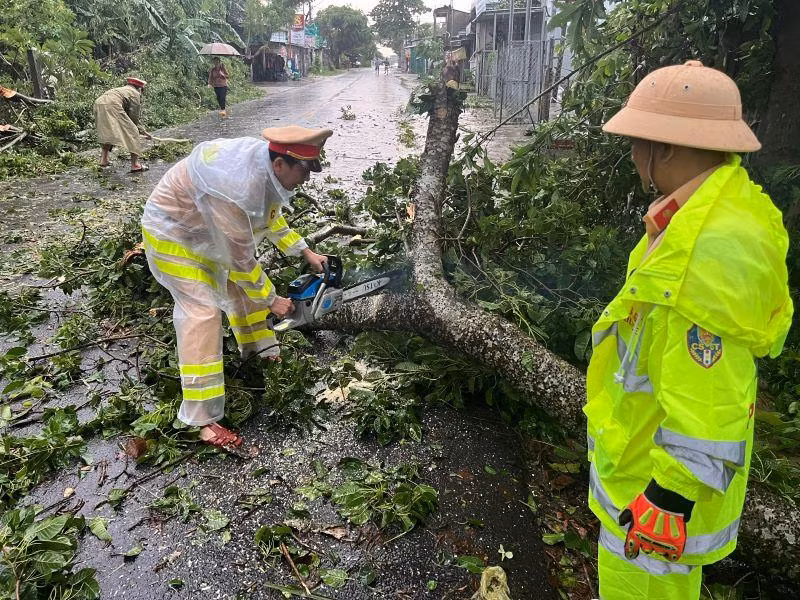 Lực lượng công an tỉnh Quảng Ngãi thu dọn cây xanh ngã đổ trên tuyến quốc lộ 24B.