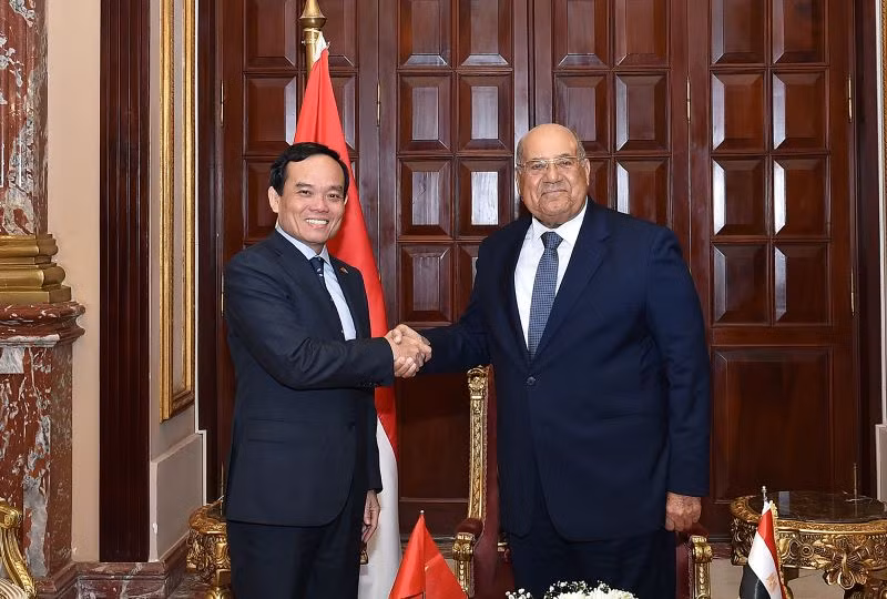 Phó Thủ tướng Chính phủ Trần Lưu Quang hội kiến Chủ tịch Thượng viện Ai Cập Abdel-Wahab Abdel-Razek.