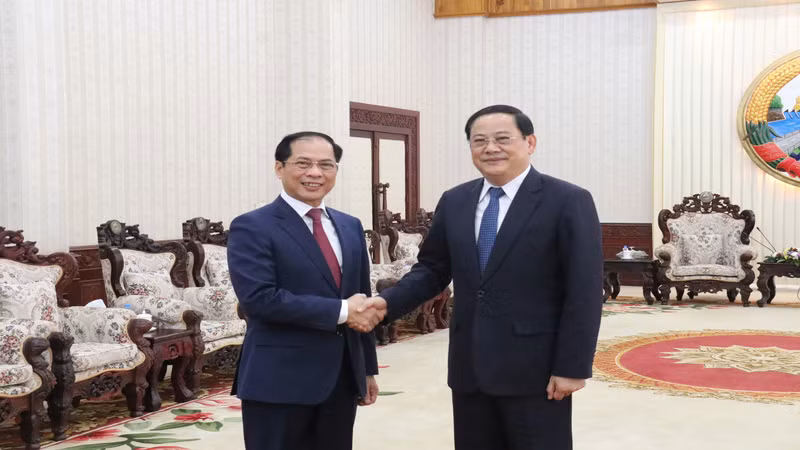 Phó Thủ tướng, Bộ trưởng Ngoại giao Bùi Thanh Sơn hội kiến Thủ tướng Lào Sonexay Siphandone.