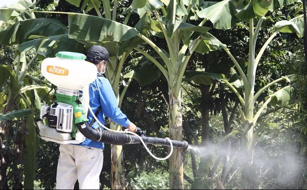 Xã Gia Xuyên phun hóa chất diệt muỗi phòng trừ dịch sốt xuất huyết.