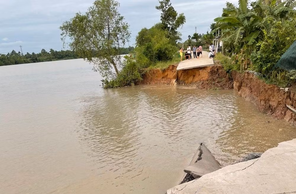 Tình hình sạt lở ở Vĩnh Long ngày càng diễn biến phức tạp. 