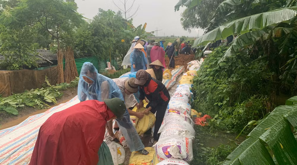 Người dân thị trấn Hạ Hòa chủ động chống lũ.