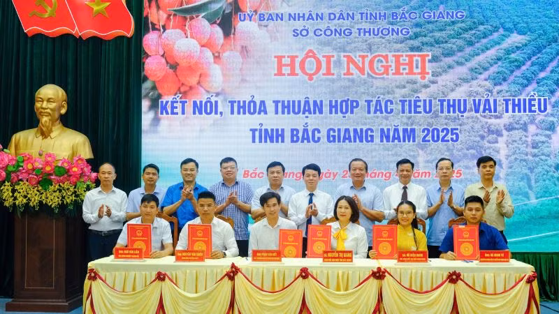 Ký kết hợp tác tiêu thụ vải thiều Bắc Giang 2025.