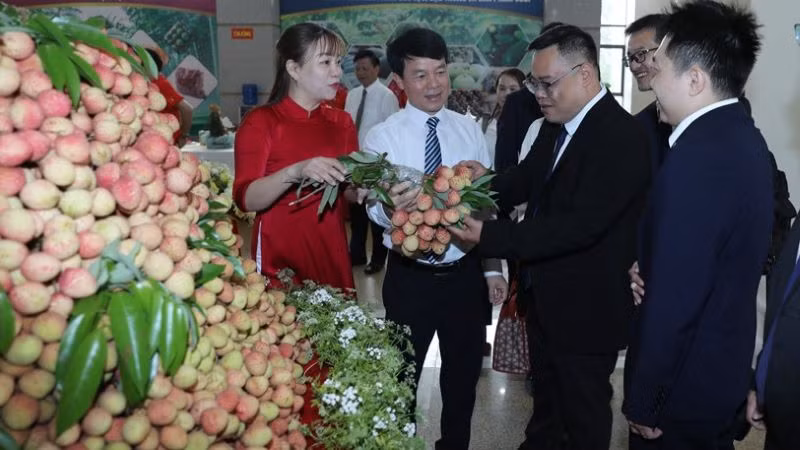 Các đại biểu tham quan gian hàng trưng bày tại hội nghị.