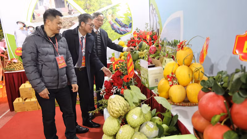 Các đại biểu thăm quan gian hàng OCOP của huyện Lục Nam.