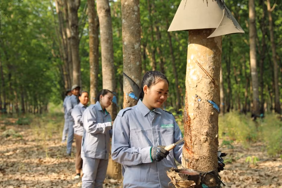 THACO AGRI đẩy mạnh tuyển dụng công nhân tại các địa phương thuộc Lào, Campuchia.