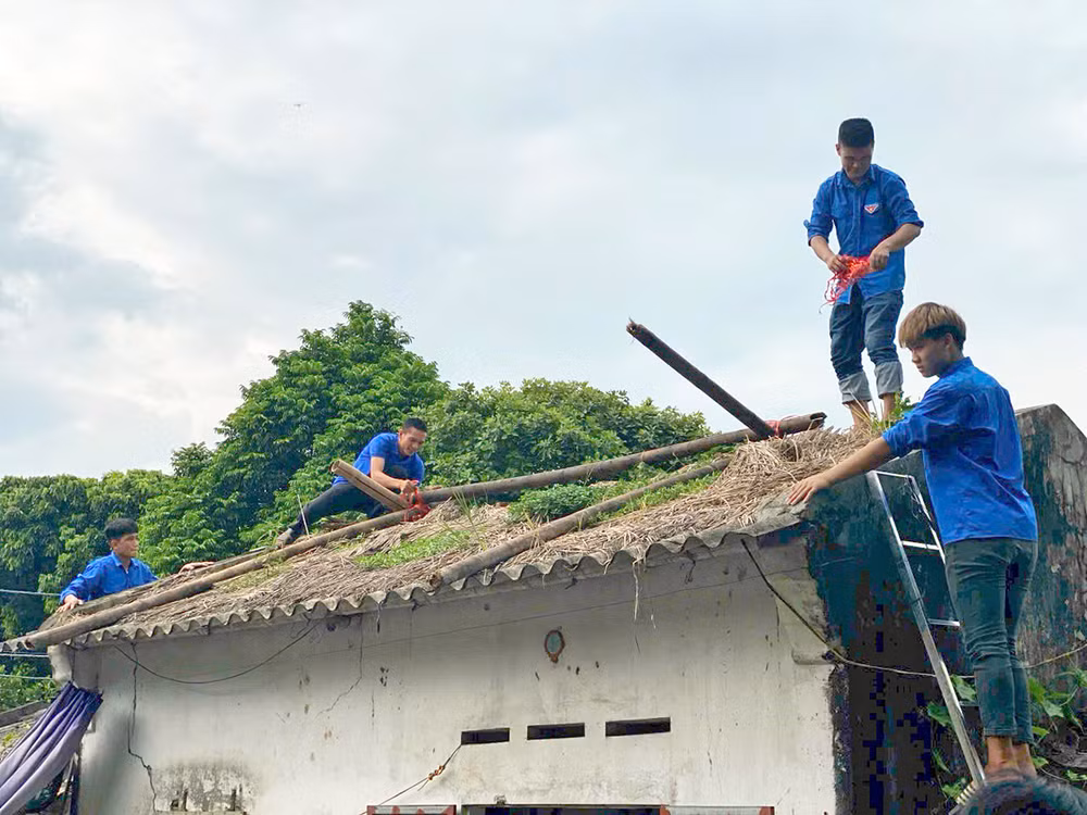 Các bạn trẻ chung tay xóa nhà tạm, nhà dột nát cho người dân Thái Bình.