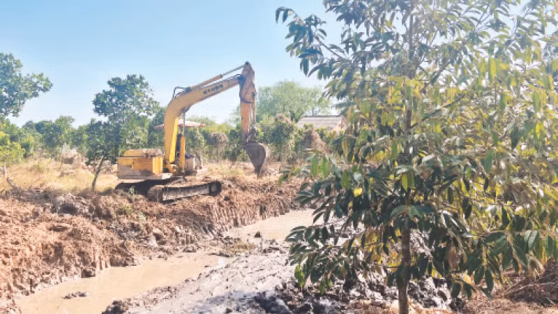 Người dân xã Sơn Định (huyện Chợ Lách) đào ao chứa nước ngọt trong mùa hạn mặn.