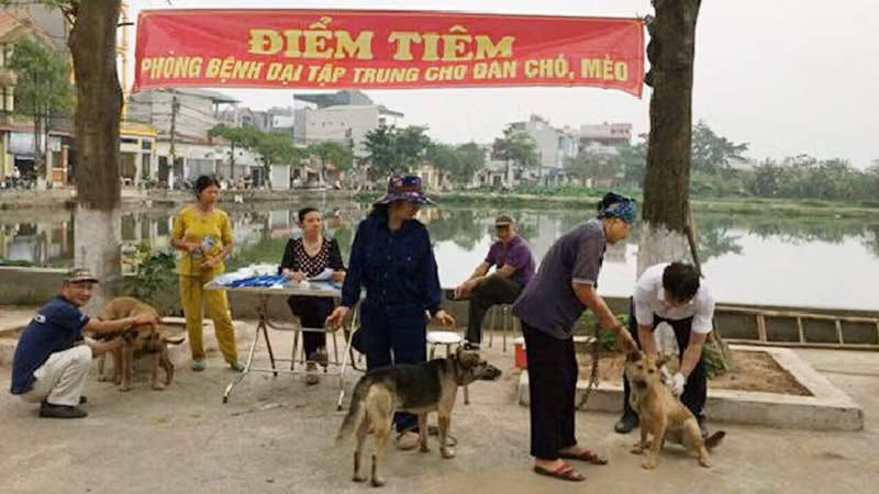 Tiêm vắc-xin phòng bệnh dại cho chó tại huyện Thanh Trì (Hà Nội).