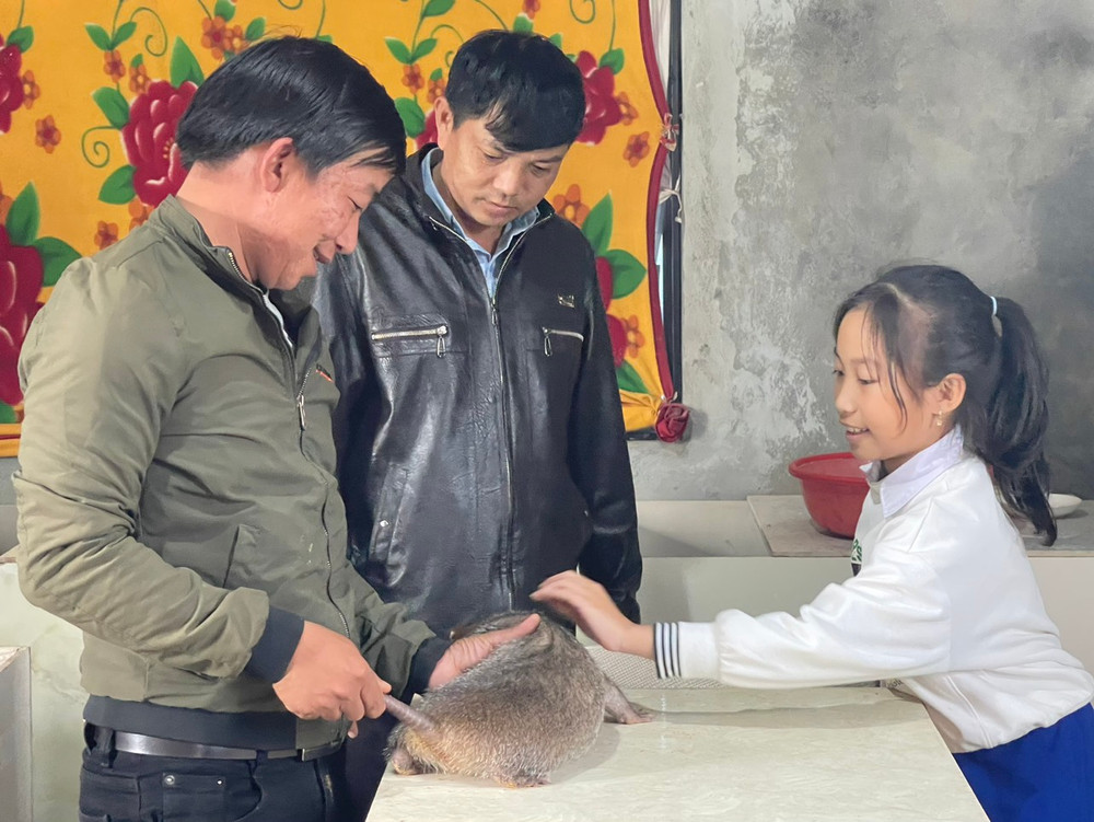 Chủ tịch Hội Nông dân thị trấn Khe Sanh, huyện Hướng Hóa (Quảng Trị) tham quan mô hình nuôi dúi của anh Nguyễn Đình Bảo.
