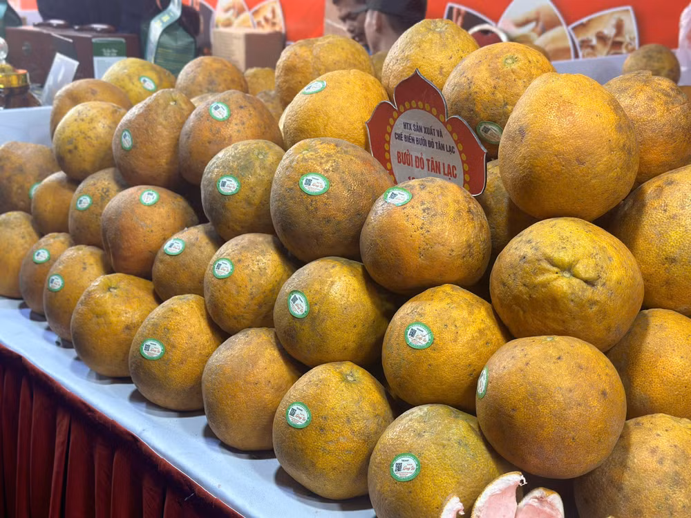 Tham gia chương trình có 1.000 dòng sản phẩm, thực phẩm chế biến, sản phẩm OCOP tiêu biểu.