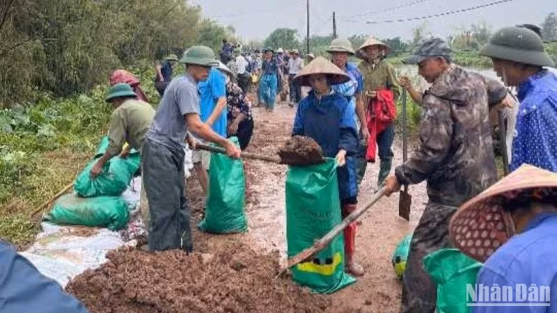 Tỉnh Thái Bình huy động tổng lực phòng chống, giảm thiểu thiệt hại do bão số 3 gây ra.