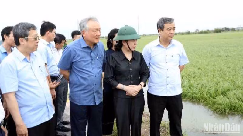Đồng chí Nguyễn Hòa Bình kiểm tra công tác chống úng cho lúa mùa tại xã Thụy Thanh, huyện Thái Thụy (tỉnh Thái Bình).
