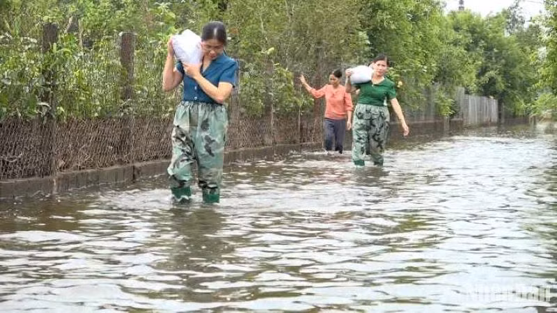 Các khu dân cư thôn Bình Minh, Thuận Nghiệp, Tiền Phong thuộc xã Bách Thuận (Vũ Thư, tỉnh Thái Bình) nước vẫn ngập sâu. (Ảnh chụp ngày 19/9/2024)