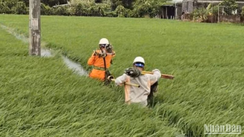 Công nhân ngành điện Thái Bình không quản mưa nắng, làm ngày làm đêm để cấp điện trở lại cho khách hàng.