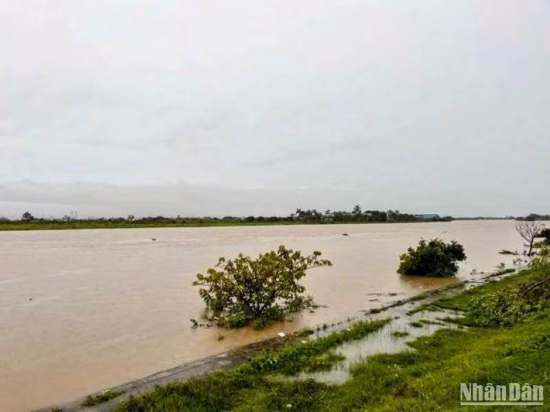 Nhiều tuyến sông, kênh mương ở Thái Bình nước dâng cao.