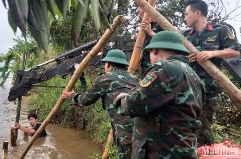 Lực lượng quân đội dầm mình trong nước lũ đóng cọc cừ gia cố đoạn đê bao xung yếu ở huyện Quỳnh Phụ.