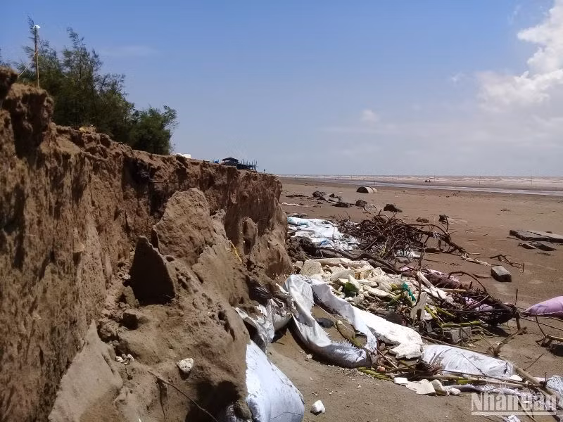 Hiện tượng xói lở, xâm thực bờ biển tại Cồn Vành diễn ra nhanh hơn.