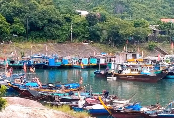 Tàu thuyền vào tránh bão tại Cù Lao Chàm (xã Tân Hiệp, Hội An)
