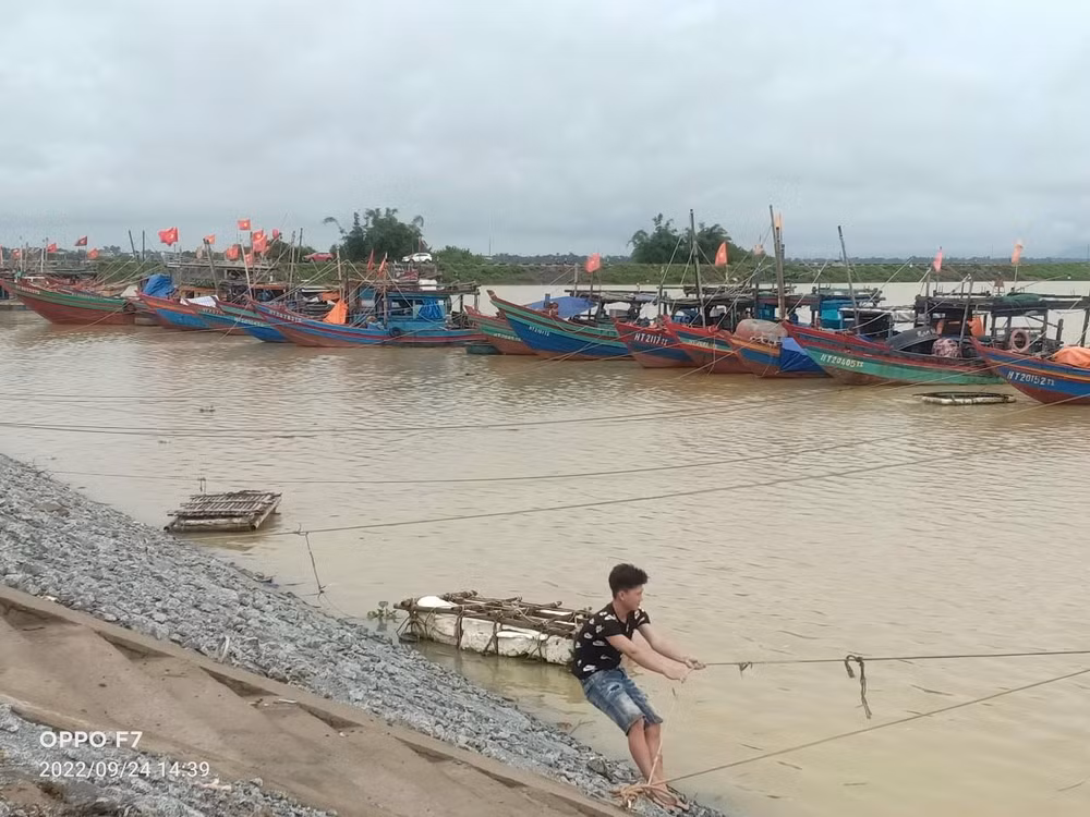 Các chủ tàu, thuyền đã chủ động cập bến, tìm nơi neo đậu an toàn để ứng phó với bão Noru.