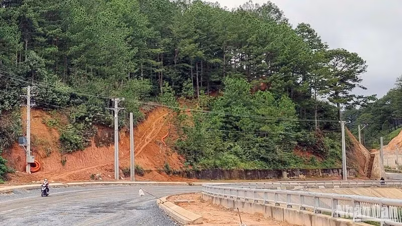 Con đường đất phía trái tuyến đường vào khu du lịch quốc gia hồ Tuyền Lâm có dấu hiệu mới san gạt. 