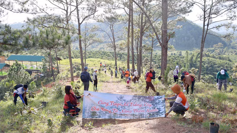 Tổ chức trồng rừng tại khu vực dã ngoại cắm trại Tà Năng. Tổ chức trồng rừng tại khu vực dã ngoại cắm trại Tà Năng.