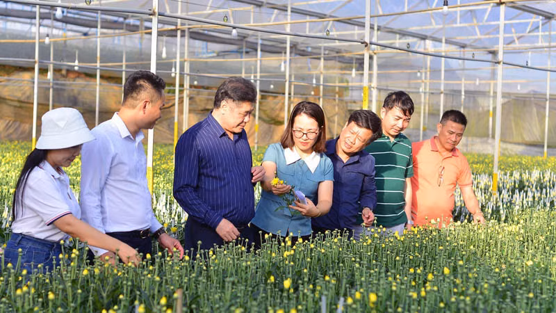 Đoàn công tác Trung tâm Khuyến nông Quốc gia thăm mô hình sản xuất hoa công nghệ cao tại thành phố Đà Lạt, tỉnh Lâm Đồng.