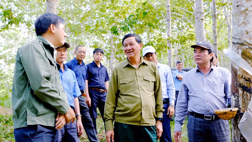 Đồng chí Trần Đức Quận (giữa) và Phó Chủ tịch UBND tỉnh Lâm Đồng Phạm S (bìa phải) tìm hiểu tình hình hoạt động của doanh nghiệp cao-su tại địa phương. (Ảnh: Ngọc Ngà)