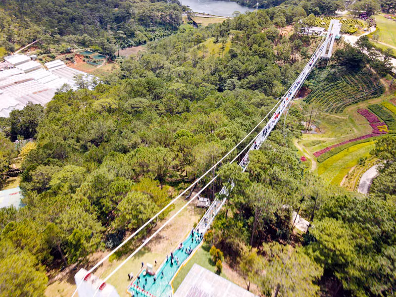 Cầu kính Ngàn Thông nối khu du lịch Đồi Mộng mơ và Thung lũng Tình yêu.