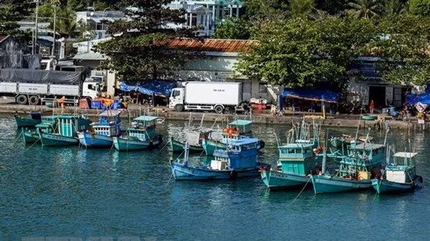 Tàu cá neo đậu tại khu vực cảng An Thới, thành phố Phú Quốc, tỉnh Kiên Giang. (Ảnh: Hồng Đạt/TTXVN)