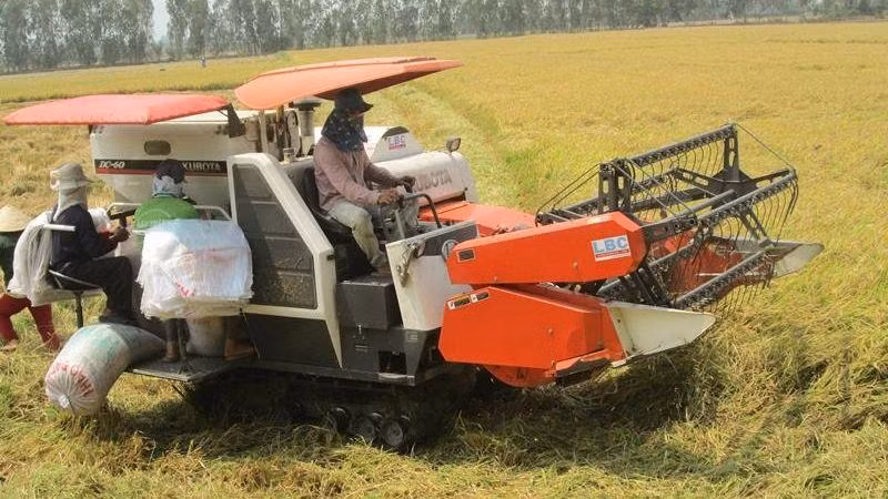 An Giang là trong vựa lúa của cả nước. 