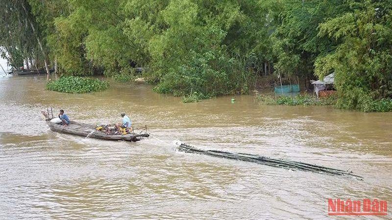 Nước lũ dâng cao tại thành phố biên giới Hồng Ngự, ngày 12/10 (ảnh: HỮU NGHĨA).