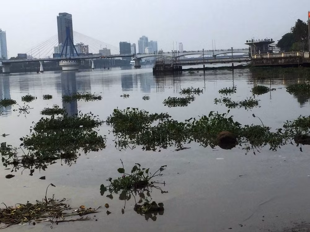 Hình ảnh được chụp sáng 21/4.