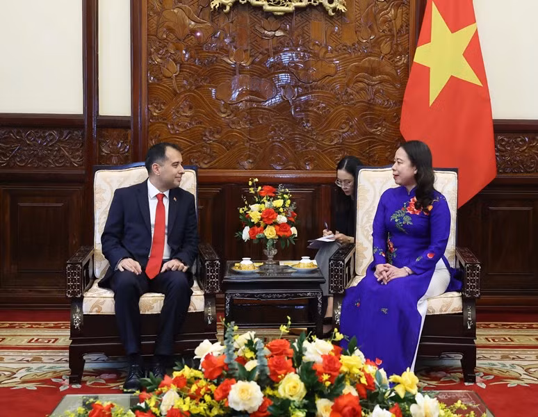 Quyền Chủ tịch nước Võ Thị Ánh Xuân tiếp Đại sứ Thổ Nhĩ Kỳ.