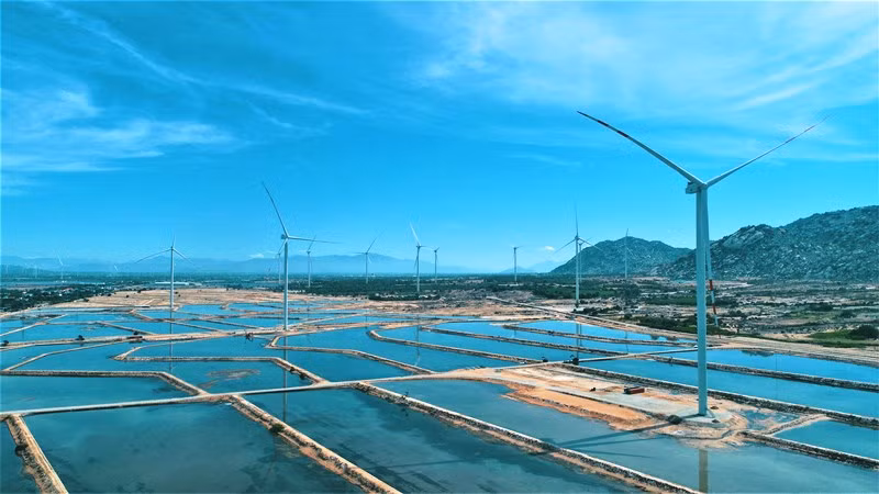 Tài trợ 25 triệu USD phát triển điện gió tại Ninh Thuận 