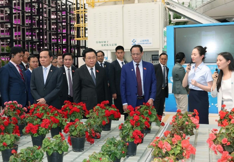 Chủ tịch Quốc hội Vương Đình Huệ thăm dự án tiêu biểu về công nghệ cao tại Trung tâm Dịch vụ sáng tạo nông nghiệp xanh Vân Thiên Hóa tỉnh Vân Nam. (Ảnh: Nhan Sáng-TTXVN) 