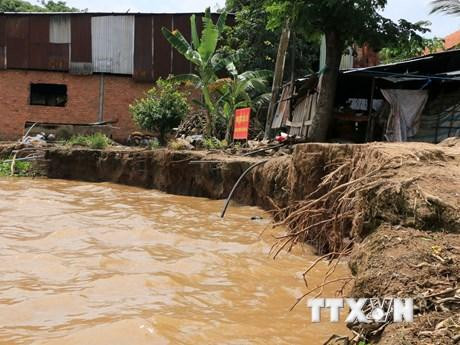 Bờ sông Tiền, đoạn thuộc xã Tân Quới, huyện Thanh Bình, tỉnh Đồng Tháp bị sạt lở. (Ảnh: TTXVN)