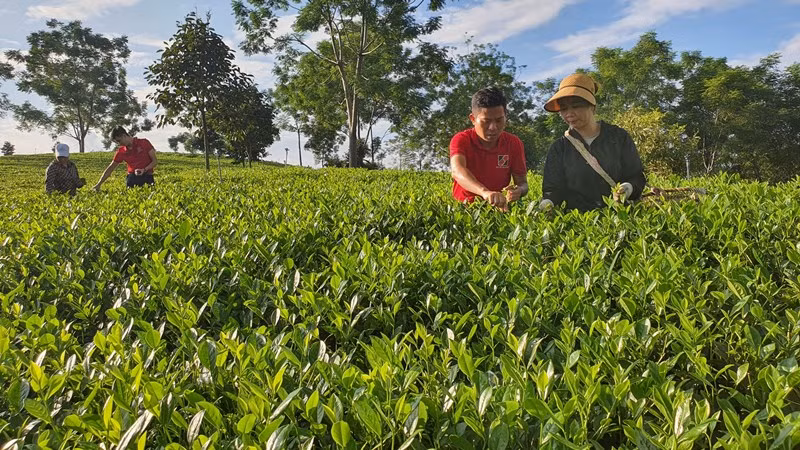Agribank chủ động và tích cực đầu tư phát triển nông nghiệp sạch, nông nghiệp công nghệ cao. Agribank chủ động và tích cực đầu tư phát triển nông nghiệp sạch, nông nghiệp công nghệ cao.