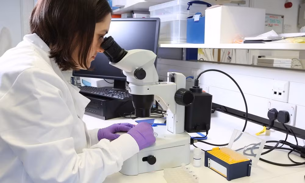 Các chuyên gia nhận thấy mô vú được bảo quản trong gel vẫn duy trì cấu trúc, loại tế bào và khả năng phản ứng với một loại thuốc giống như mô vú bình thường. (Ảnh: Getty)