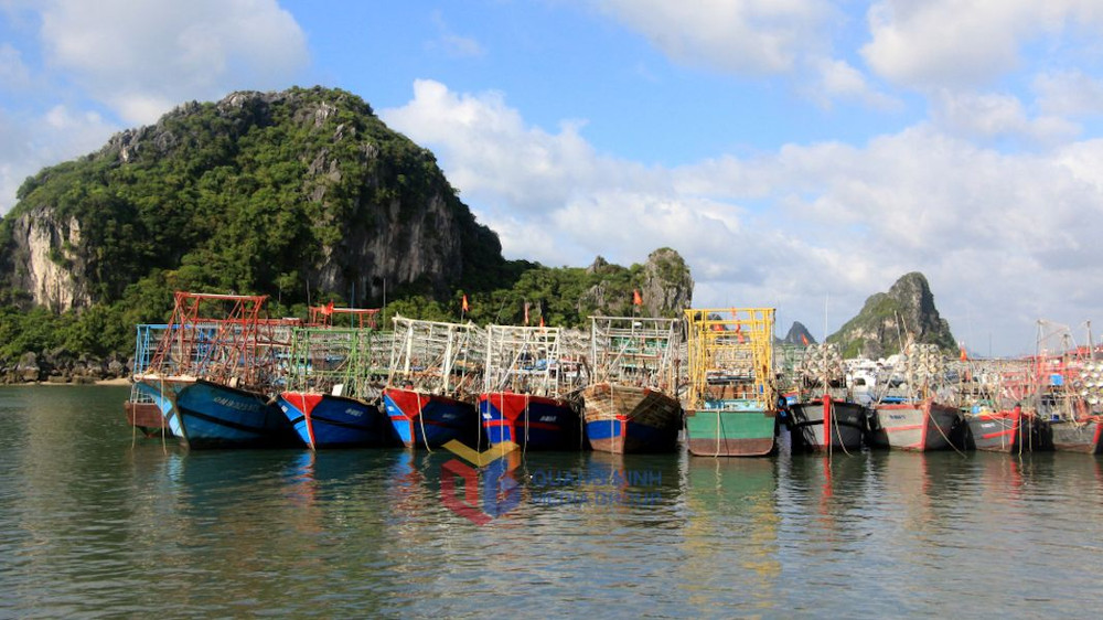 Quảng Ninh đang khẩn trương kêu gọi tàu thuyền về nơi tránh trú bão an toàn.